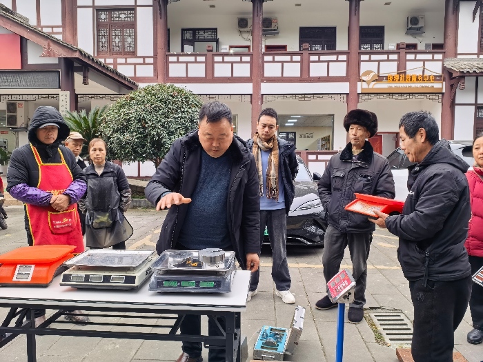 誠信計量護航古鎮旅游——黃龍溪市場監管所開展電子計量器具專項檢定行動